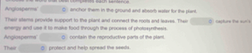 compretes éach senence 
Angiosperms' O anchor them in the ground and absorb water for the plant. 
Their sterns provide support to the plant and connect the roots and leaves. Their O capture the sun's 
energy and use it to make food through the process of photosynthesis. 
Angiosperms' contain the reproductive parts of the plant. 
Their ③ protect and help spread the seeds.