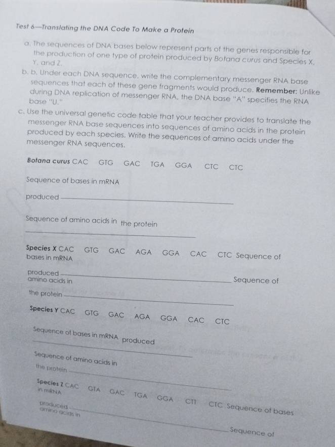 Test 6—Translating the DNA Code To Make a Protein 
a. The sequences of DNA bases below represent parts of the genes responsible for 
the production of one type of protein produced by Botana curus and Species X.
Y. and Z. 
b. b. Under each DNA sequence, write the complementary messenger RNA base 
sequences that each of these gene fragments would produce. Remember: Unlike 
during DNA replication of messenger RNA, the DNA base ''A'' specifies the RNA 
base ''U.'' 
c. Use the universal genetic code table that your teacher provides to translate the 
messenger RNA base sequences into sequences of amino acids in the protein 
produced by each species. Write the sequences of amino acids under the 
messenger RNA sequences. 
Botana curus CAC GTG GAC TGA GGA CTC CTC 
Sequence of bases in mRNA 
produced_ 
_ 
Sequence of amino acids in the protein 
Species X CAC GTG GAC AGA GGA CAC CTC Sequence of 
bases in mRNA 
produced _Sequence of 
amino acids in 
the protein_ 
$peciesY CAC GTG GAC AGA GGA CAC CTC 
_ 
Sequence of bases in mRNA produced 
Sequence of amino acids in 
_ 
the protein 
in mRNA 
Species 2 CAC GTA GAC TGA GGA CTT CTC Sequence of bases 
produced amino acids in 
Sequence of