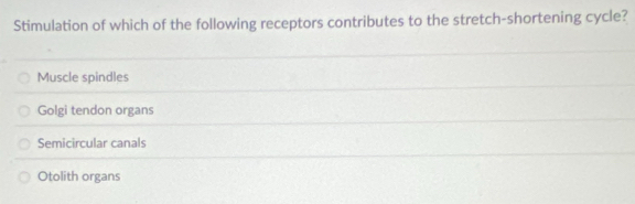 Stimulation of which of the following receptors contributes to the stretch-shortening cycle?
Muscle spindles
Golgi tendon organs
Semicircular canals
Otolith organs