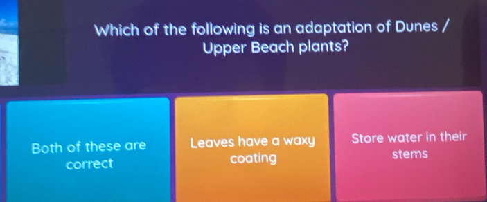 Which of the following is an adaptation of Dunes /
Upper Beach plants?
Both of these are Leaves have a waxy Store water in their
correct coating
stems