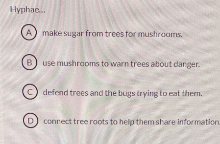 Hyphae...
A ) make sugar from trees for mushrooms.
B  use mushrooms to warn trees about danger.
C defend trees and the bugs trying to eat them.
D connect tree roots to help them share information