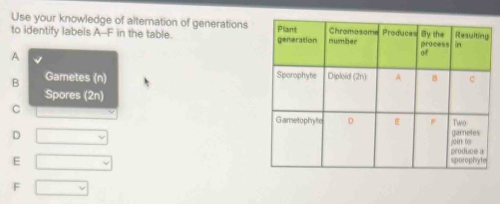 Solved: Use your knowledge of alternation of generations to identify ...