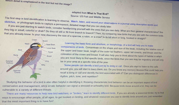 Which detail is emphasized in the text but not the image? adapted from ...
