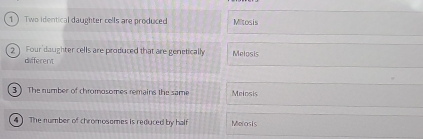 1  Two identical daughter cells are produced Mitosis
2 Four daughter cells are produced that are genetically Melosis
different
3 ) The number of chromosomes remains the same Melosis
4] The number of chromosomes is reduced by half Melosis