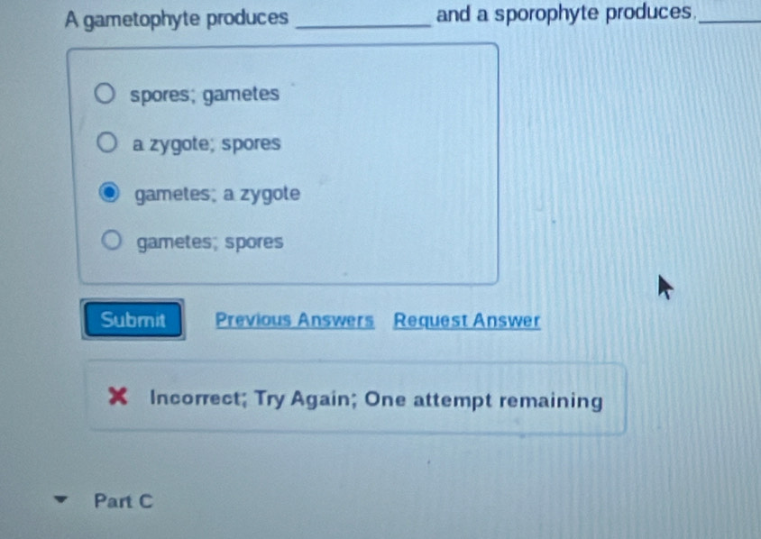 A gametophyte produces _and a sporophyte produces._
spores; gametes
a zygote; spores
gametes; a zygote
gametes; spores
Submit Previous Answers Request Answer
Incorrect; Try Again; One attempt remaining
Part C