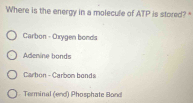 Where is the energy in a molecule of ATP is stored? *
Carbon - Oxygen bonds
Adenine bonds
Carbon - Carbon bonds
Terminal (end) Phosphate Bond