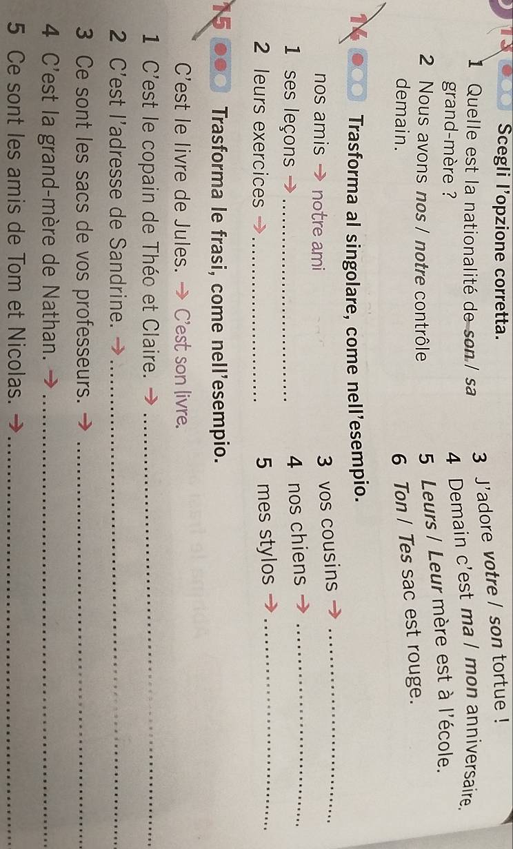 Scegli l’opzione corretta. 
1 Quelle est la nationalité de son/ sa 
3 J'adore votre / son tortue ! 
grand-mère ? 
4 Demain c'est ma l mon anniversaire. 
2 Nous avons nos / notre contrôle 
5 Leurs / Leur mère est à l'école. 
demain. 
6 Ton / Tes sac est rouge. 
1 Trasforma al singolare, come nell’esempio. 
nos amis notre ami 
3 vos cousins_ 
1 ses leçons_ 
4 nos chiens_ 
2 leurs exercices_ 
5 mes stylos_ 
15 Trasforma le frasi, come nell’esempio. 
C'est le livre de Jules. → C'est son livre. 
1 C'est le copain de Théo et Claire._ 
2 C'est l'adresse de Sandrine._ 
3 Ce sont les sacs de vos professeurs._ 
4 C'est la grand-mère de Nathan._ 
5 Ce sont les amis de Tom et Nicolas._