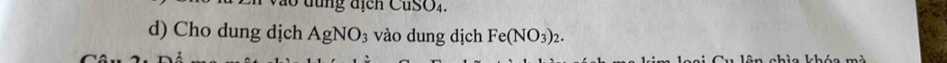 đ ng địch CuSO4. 
d) Cho dung dịch AgNO_3 vào dung dịch Fe(NO_3)_2.