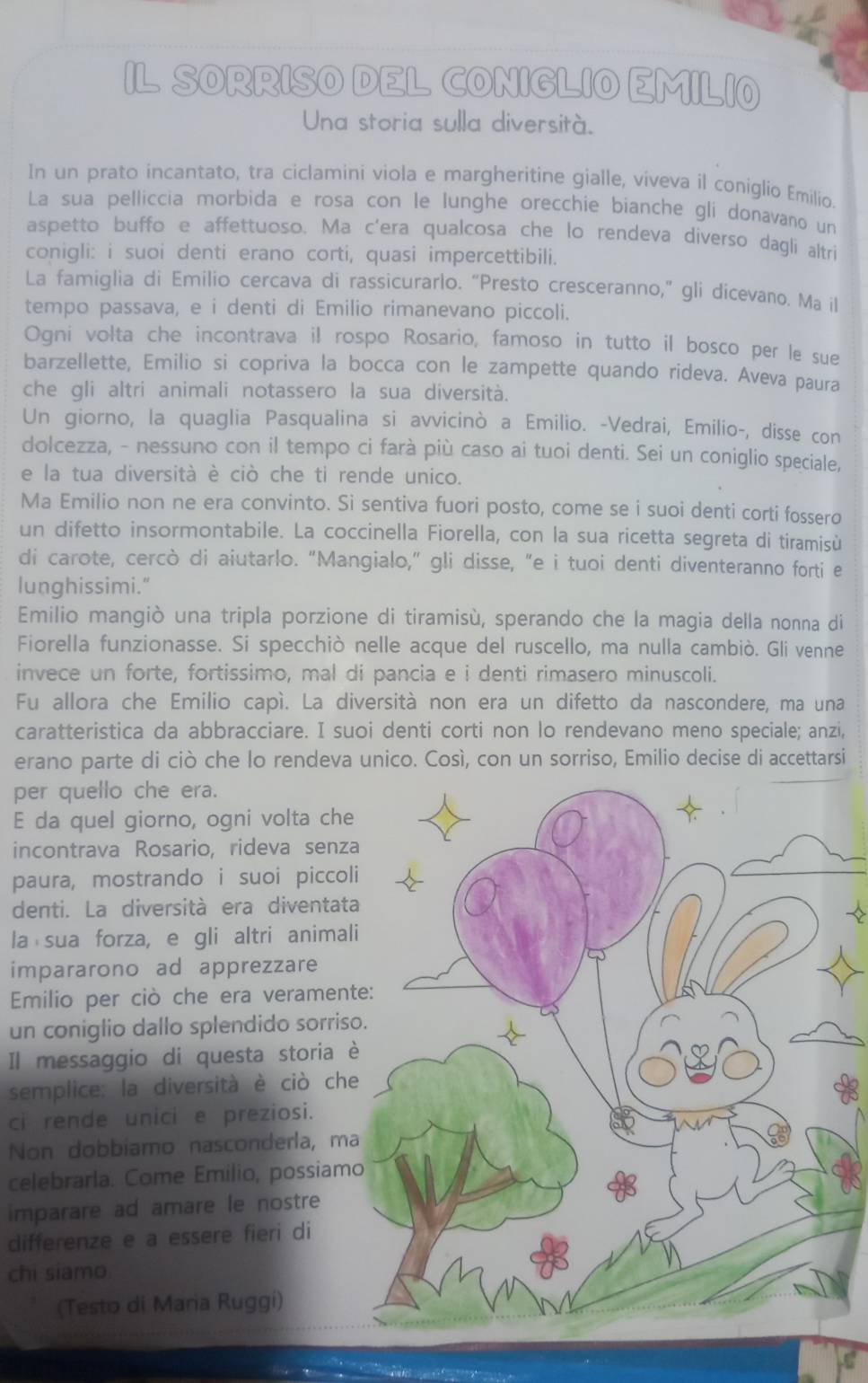 IL SORRISO DEL CONIGLIO EMILIO
Una storia sulla diversità.
In un prato incantato, tra ciclamini viola e margheritine gialle, viveva il coniglio Emilio.
La sua pelliccia morbida e rosa con le lunghe orecchie bianche gli donavano un
aspetto buffo e affettuoso. Ma c'era qualcosa che lo rendeva diverso dagli altri
conigli: i suoi denti erano corti, quasi impercettibili.
La famiglia di Emilio cercava di rassicurarlo. “Presto cresceranno,” gli dicevano. Ma l
tempo passava, e i denti di Emilio rimanevano piccoli.
Ogni volta che incontrava il rospo Rosario, famoso in tutto il bosco per le sue
barzellette, Emilio si copriva la bocca con le zampette quando rideva. Aveva paura
che gli altri animali notassero la sua diversità.
Un giorno, la quaglia Pasqualina si avvicinò a Emilio. -Vedrai, Emilio-, disse con
dolcezza, - nessuno con il tempo ci farà più caso ai tuoi denti. Sei un coniglio speciale,
e la tua diversità è ciò che ti rende unico.
Ma Emilio non ne era convinto. Si sentiva fuori posto, come se i suoi denti corti fossero
un difetto insormontabile. La coccinella Fiorella, con la sua ricetta segreta di tiramisù
di carote, cercò di aiutarlo. “Mangialo,” gli disse, “e i tuoi denti diventeranno forti e
lunghissimi.”
Emilio mangiò una tripla porzione di tiramisù, sperando che la magia della nonna di
Fiorella funzionasse. Si specchiò nelle acque del ruscello, ma nulla cambiò. Gli venne
invece un forte, fortissimo, mal di pancia e i denti rimasero minuscoli.
Fu allora che Emilio capí. La diversità non era un difetto da nascondere, ma una
caratteristica da abbracciare. I suoi denti corti non lo rendevano meno speciale; anzi,
erano parte di ciò che lo rendeva unico. Così, con un sorriso, Emilio decise di accettarsi
per quello che era.
E da quel giorno, ogni volta che
incontrava Rosario, rideva senza
paura, mostrando i suoi piccoli
denti. La diversità era diventata
la sua forza, e gli altri animali
impararono ad apprezzare
Emilio per ciò che era verament
un coniglio dallo splendido sorriso
Il messaggio di questa storia è
semplice: la diversità è ciò che
ci rende unici e preziosi.
Non dobbiamo nasconderla, ma
celebrarla. Come Emílio, possiamo
imparare ad amare le nostre
differenze e a essere fieri di
chi siamo
(Testo di Maria Ruggi)