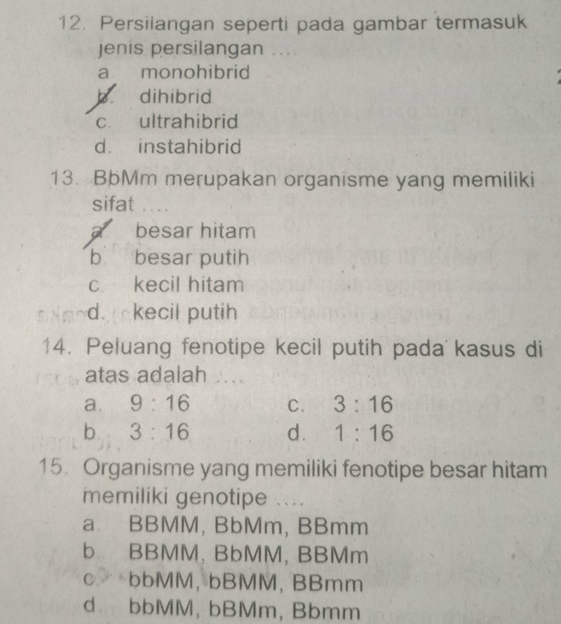 Persilangan seperti pada gambar termasuk
jenis persilangan ....
a monohibrid
dihibrid
c. ultrahibrid
d. instahibrid
13. BbMm merupakan organisme yang memiliki
sifat ....
a besar hitam
b besar putih
c kecil hitam
d. kecil putih
14. Peluang fenotipe kecil putih pada'kasus di
atas adalah . ...
a. 9:16 C. 3:16
b 3:16
d. 1:16
15. Organisme yang memiliki fenotipe besar hitam
memiliki genotipe ....
a BBMM, BbMm, BBmm
b. BBMM, BbMM, BBMm
c∵ bbMM, bBMM, BBmm
d bbMM, bBMm, Bbmm