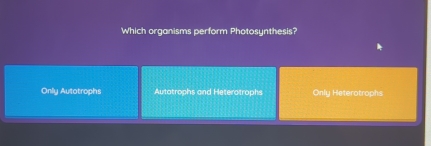 Which organisms perform Photosynthesis?
Only Autotrophs Autatrophs and Heterotrophs Only Heterotrophs