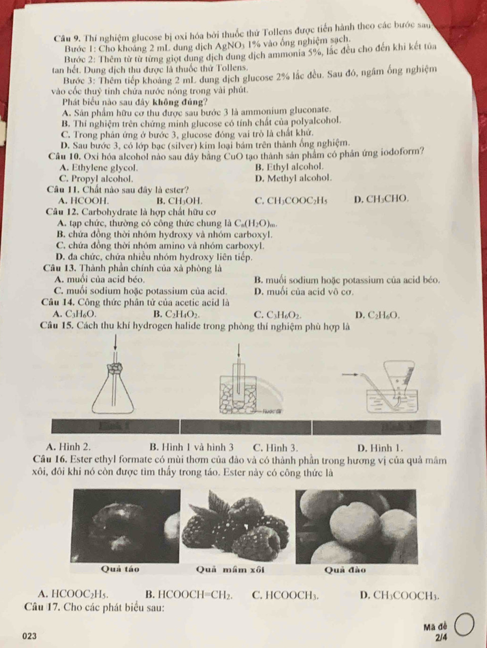 Thí nghiệm glucose bị oxi hóa bởi thuốc thứ Tollens được tiến hành theo các bước sau
Bước 1: Cho khoảng 2 mL dung dịch AgNO_3 1% vào ống nghiệm sạch.
Bước 2: Thêm từ từ từng giọt dung dịch dung dịch ammonia 5%, lắc đều cho đến khi kết tủa
tan hết. Dung dịch thu được là thuốc thử Tollens.
Bước 3: Thêm tiếp khoảng 2 mL dung dịch glucose 2% lắc đều. Sau đó, ngầm ống nghiệm
vào cốc thuỷ tinh chứa nước nóng trong vài phút.
Phát biểu nào sau đây không đủng?
A. Sản phẩm hữu cơ thu được sau bước 3 là ammonium gluconate.
B. Thí nghiệm trên chứng minh glucose có tính chất của polyalcohol.
C. Trong phản ứng ở bước 3, glucose đóng vai trò là chất khử.
D. Sau bước 3, có lớp bạc (silver) kim loại bảm trên thành ống nghiệm.
Câu 10. Oxi hóa alcohol nào sau đây bằng CuO tạo thành sản phẩm có phản ứng iodoform?
A. Ethylene glycol. B. Ethyl alcohol.
C. Propyl alcohol. D. Methyl alcohol.
Câu 11. Chất nào sau đây là ester?
A. HCOOH. B. CH_3OH C. CH₃COOC₂H₅ D, CH₃CHO,
Câu 12. Carbohydrate là hợp chất hữu cơ
A. tạp chức, thường có cổng thức chung là C_n(H_2O)_m
B. chứa đồng thời nhóm hydroxy và nhóm carboxyl.
C. chứa đồng thời nhóm amino và nhóm carboxyl.
D. đa chức, chứa nhiều nhóm hydroxy liên tiếp.
Câu 13. Thành phần chính của xà phòng là
A. muối của acid béo. B. muối sodium hoặc potassium của acid béo.
C. muối sodium hoặc potassium của acid. D. muối của acid vô cơ.
Câu 14. Công thức phân tử của acetic acid là
A. C_3H_6O B. C_2H_4O_2. C. C_3H_6O_2. D. C_2H_6O.
Câu 15. Cách thu khí hydrogen halide trong phòng thí nghiệm phù hợp là
ớc
A. Hình 2. B. Hình 1 và hình 3 C. Hình 3. D. Hình 1.
Câu 16. Ester ethyl formate có mùi thơm của đảo và có thành phần trong hương vị của quả mâm
xôi, đôi khi nó còn được tìm thấy trong táo. Ester này có công thức là
Quả táo Quả mâm xôi Quả đào
A. HCOOC₂H₅. B. HCO( OCH=CH_2. C. HCOOCH₃. D. CH₃COOCH₃.
Câu 17. Cho các phát biểu sau:
Mã đề
023 2/4