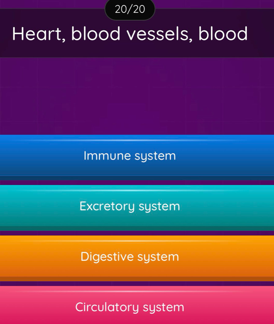 20/20
Heart, blood vessels, blood
Immune system
Excretory system
Digestive system
Circulatory system