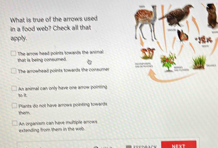 Solved: What is true of the arrows used in a food web? Check all that ...