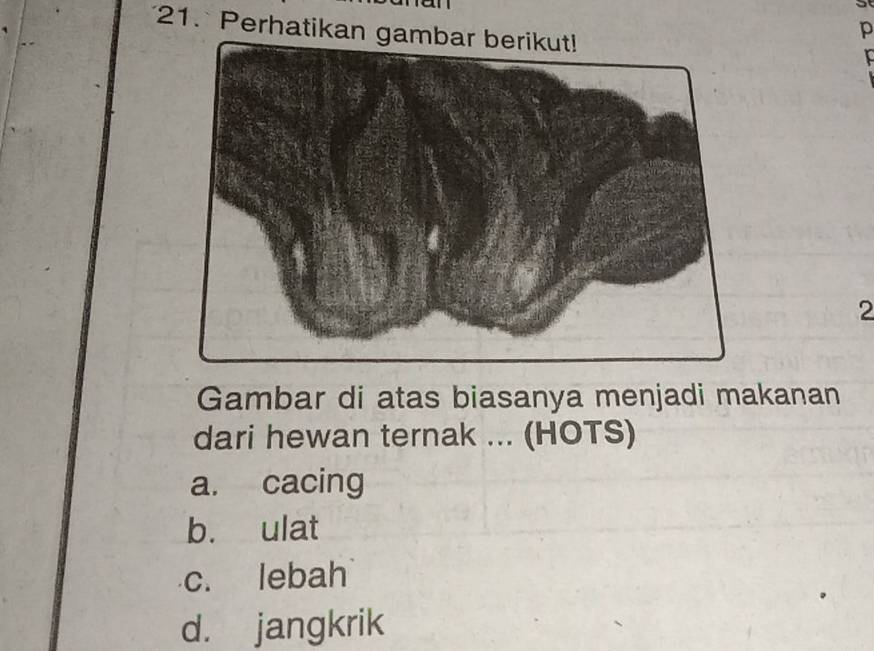 Perhatikan gambar berikut!
p
2
Gambar di atas biasanya menjadi makanan
dari hewan ternak ... (HOTS)
a. cacing
b. ulat
c. lebah
d. jangkrik