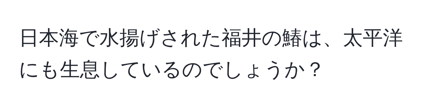 日本海で水揚げされた福井の鰆は、太平洋にも生息しているのでしょうか？