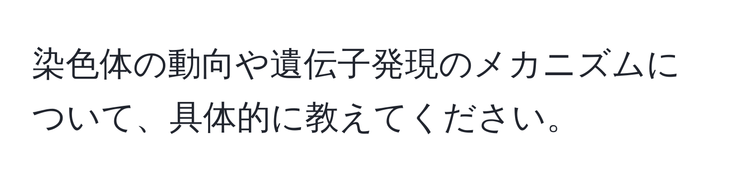 染色体の動向や遺伝子発現のメカニズムについて、具体的に教えてください。