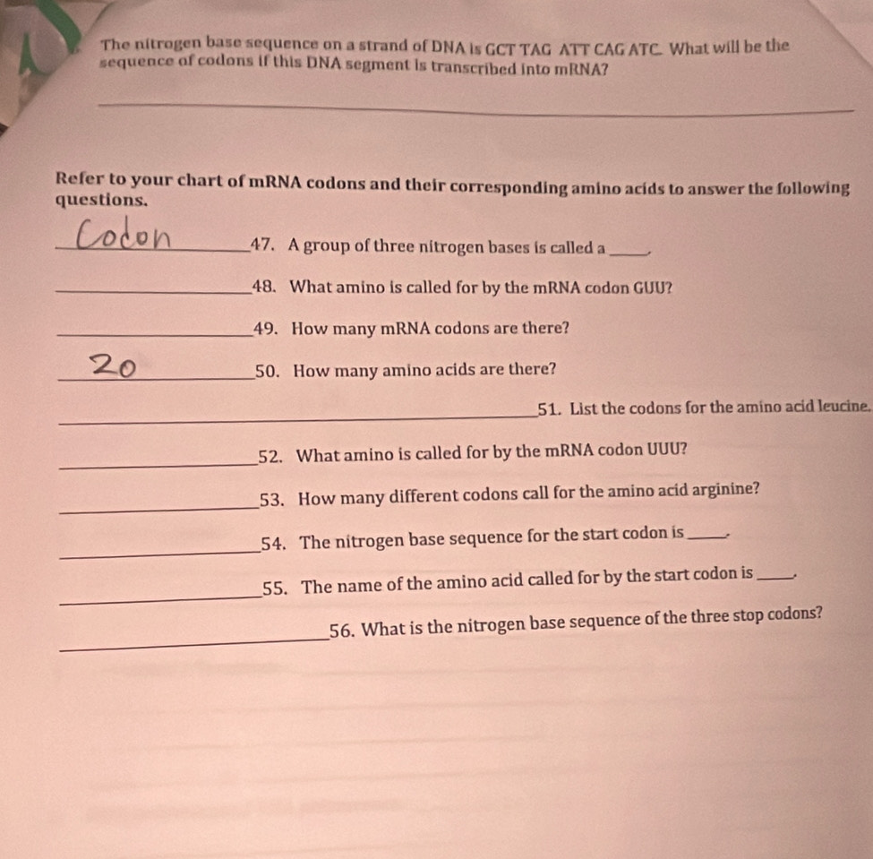 The nitrogen base sequence on a strand of DNA is GCT TAG ATT CAG ATC. What will be the 
sequence of codons if this DNA segment is transcribed into mRNA? 
__ 
Refer to your chart of mRNA codons and their corresponding amino acids to answer the following 
questions. 
_47. A group of three nitrogen bases is called a_ 
_48. What amino is called for by the mRNA codon GUU? 
_49. How many mRNA codons are there? 
_50. How many amino acids are there? 
_ 
51. List the codons for the amino acid leucine. 
_ 
52. What amino is called for by the mRNA codon UUU? 
_ 
53. How many different codons call for the amino acid arginine? 
_ 
54. The nitrogen base sequence for the start codon is_ . 
_ 
55. The name of the amino acid called for by the start codon is_ 
_ 
56. What is the nitrogen base sequence of the three stop codons?