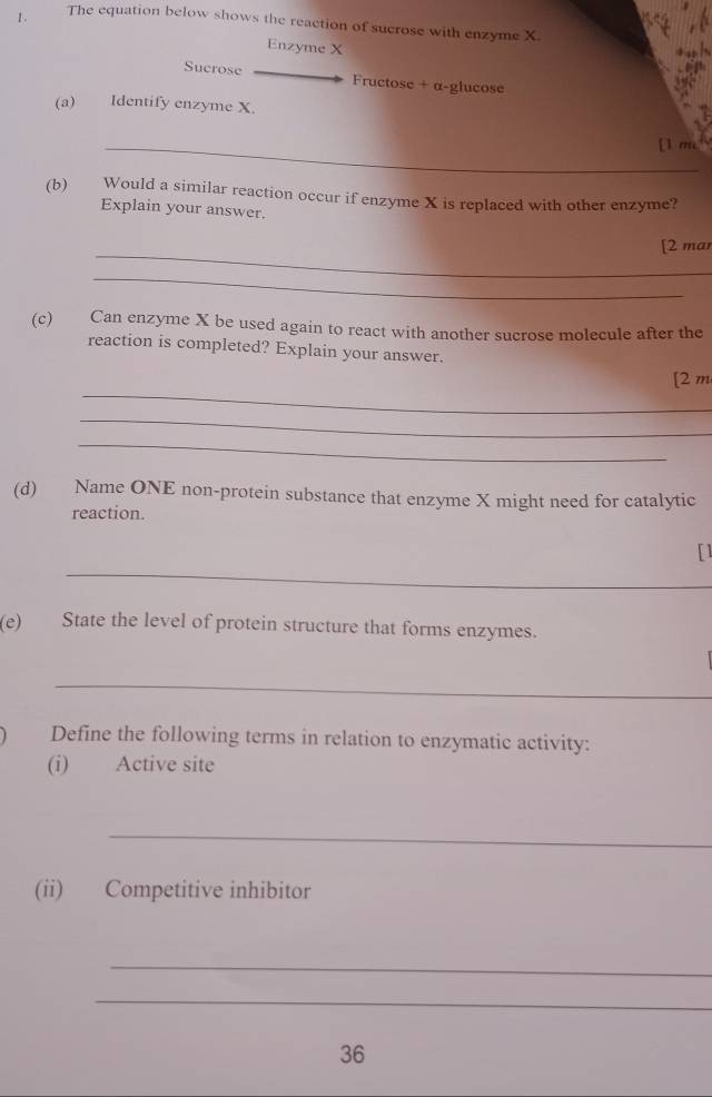 1 . 
The equation below shows the reaction of sucrose with enzyme X
Enzyme X
Sucrose Fructose + α-glucose 
(a) Identify enzyme X. 
_[1 m 
(b) Would a similar reaction occur if enzyme X is replaced with other enzyme? 
Explain your answer. 
_ 
[2 mar 
_ 
(c) Can enzyme X be used again to react with another sucrose molecule after the 
reaction is completed? Explain your answer. 
_ 
[2 m 
_ 
_ 
(d) Name ONE non-protein substance that enzyme X might need for catalytic 
reaction. 
_ 
D 
(e) State the level of protein structure that forms enzymes. 
_ 
Define the following terms in relation to enzymatic activity: 
(i) Active site 
_ 
(ii) Competitive inhibitor 
_ 
_ 
36