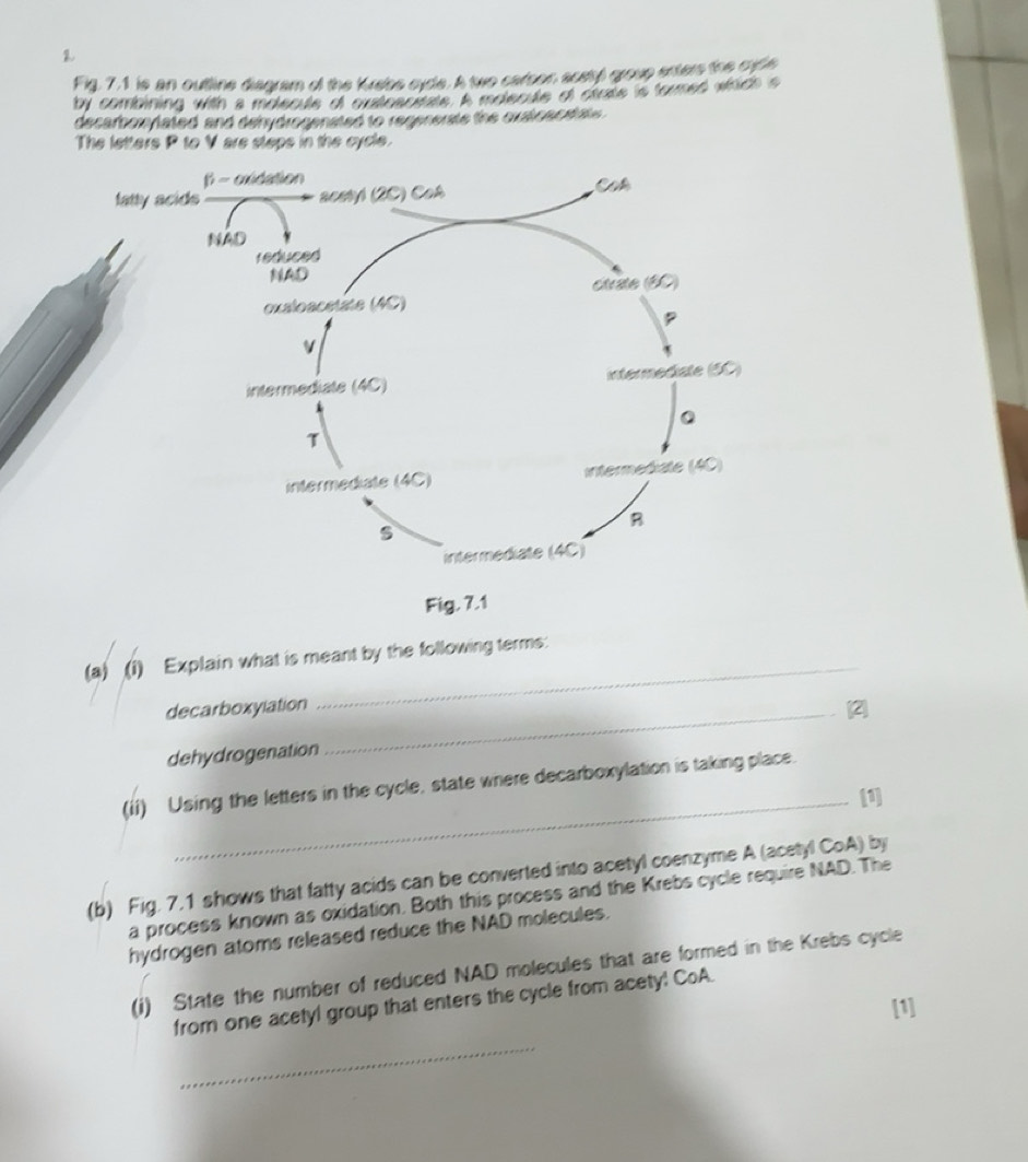 Telah dijawab:by combining with a molecule of oulosciate. A molecule of ...