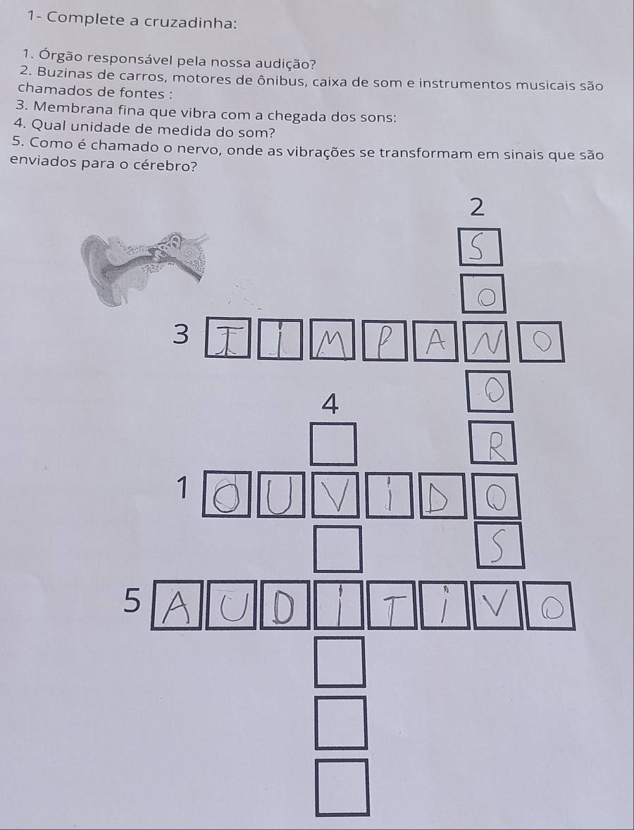 1- Complete a cruzadinha:
1. Órgão responsável pela nossa audição?
2. Buzinas de carros, motores de ônibus, caixa de som e instrumentos musicais são
chamados de fontes :
3. Membrana fina que vibra com a chegada dos sons:
4. Qual unidade de medida do som?
5. Como é chamado o nervo, onde as vibrações se transformam em sinais que são
enviados para o cérebro?
2
3
 □ /□  
□ 
□ 