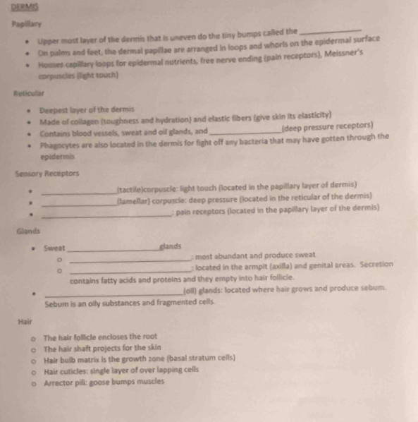 DERMIS 
Papillary 
Upper most layer of the dermis that is uneven do the tiny bumps called the 
_ 
On palms and feet, the dermal papillae are arranged in loops and whorls on the epidermal surface 
Houses capillary loops for epidermal nutrients, free nerve ending (pain receptors), Meissner's 
corpuscles (light touch) 
Reficular 
Deepest layer of the dermis 
Made of collagen (toughness and hydration) and elastic fibers (give skin its elasticity) 
Contains blood vessels, sweat and oil glands, and _(deep pressure receptors) 
Phagocytes are also located in the dermis for fight off any bacteria that may have gotten through the 
epidermis 
Sensory Receptors 
_ 
. (tactile)corpuscle: light touch (located in the papillary layer of dermis) 
. _(lamellar) corpuscle: deep pressure (located in the reticular of the dermis) 
_: pain receptors (located in the papillary layer of the dermis) 
Glands 
Sweat _glands 
_ 
: most abundant and produce sweat 
_: located in the armpit (axilla) and genital areas. Secretion 
contains fatty acids and proteins and they empty into hair follicle. 
_ 
(oll) glands: located where hair grows and produce sebum. 
Sebum is an olly substances and fragmented cells. 
Hair 
The hair follicle encloses the root 
The hair shaft projects for the skin 
Hair bulb matrix is the growth zone (basal stratum cells) 
Hair cuticles: single layer of over lapping cells 
Arrector pill: goose bumps muscles