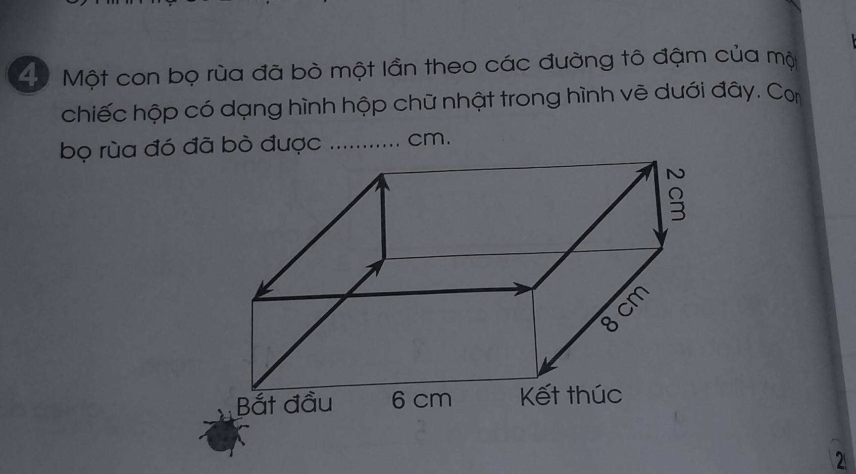 Một con bọ rùa đã bò một lần theo các đường tô đậm của mộ 
chiếc hộp có dạng hình hộp chữ nhật trong hình vẽ dưới đây. Co
cm. 
2