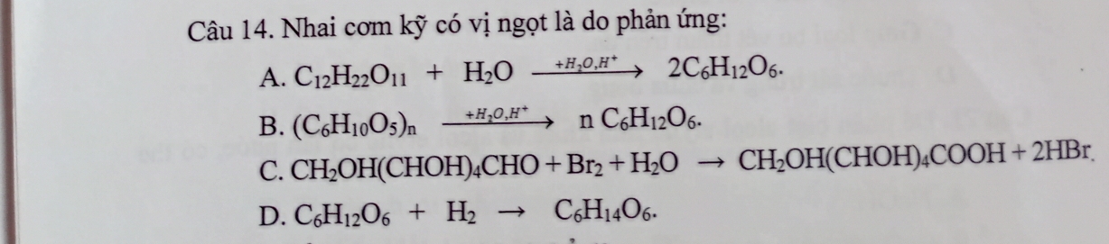 Nhai cơm kỹ có vị ngọt là do phản ứng:
A. C_12H_22O_11+H_2Oxrightarrow +H_2O,H^+2C_6H_12O_6.
B. (C_6H_10O_5)_nxrightarrow +H_2O,H^+nC_6H_12O_6.
C. CH_2OH(CHOH)_4CHO+Br_2+H_2Oto CH_2OH(CHOH)_4COOH+2HBr.
D. C_6H_12O_6+H_2to C_6H_14O_6.