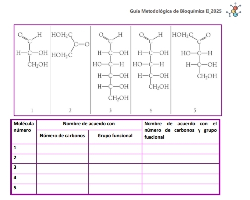 Guía Metodológica de Bioquímica II_2025
HOH_2C
C
HO-C-H
H-C-OH
CH_2OH
5