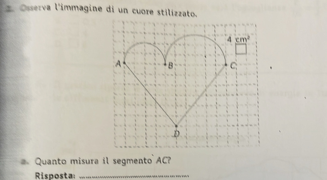 Osserva l'immagine di un cuore stilizzato.
Quanto misura il segmento AC?
Risposta:_