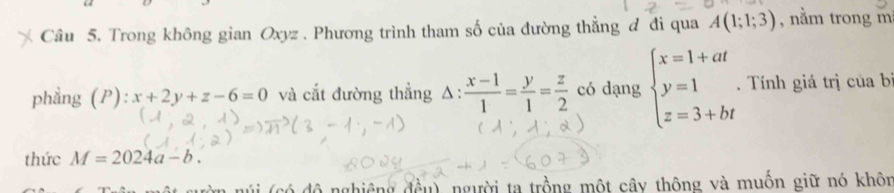 Trong không gian Oxyz. Phương trình tham số của đường thẳng đ đi qua A(1;1;3) , nằm trong m 
phầng (P) x+2y+z-6=0 và cắt đường thẳng △ : : (x-1)/1 = y/1 = z/2  có dạng beginarrayl x=1+at y=1 z=3+btendarray.. Tính giá trị của bị 
thức M=2024a-b. 
a núi (có độ nghiêng đều), người ta trồng một cây thông và muốn giữ nó khôn