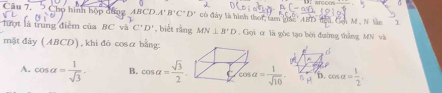 arccos frac  
Câu 7. Cho hình hộp dùng ABCD. A'B'C'D' có đáy là hình thoi, tam giác' ABD đeu. Gen M, N làn
lượt là trung điểm của BC và C'D' , biết rằng MN⊥ B'D. Gọi α là góc tạo bởi đường thẳng MN và
mặt đáy ( ABCD), khi đó cosα bằng:
A. cos alpha = 1/sqrt(3) . B. cos alpha = sqrt(3)/2 . cos alpha = 1/sqrt(10) . D. cos alpha = 1/2 .