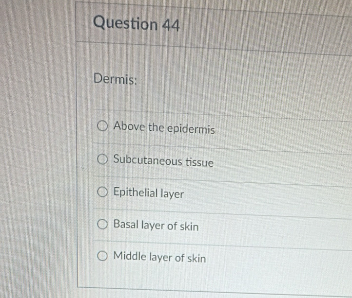 Dermis:
Above the epidermis
Subcutaneous tissue
Epithelial layer
Basal layer of skin
Middle layer of skin