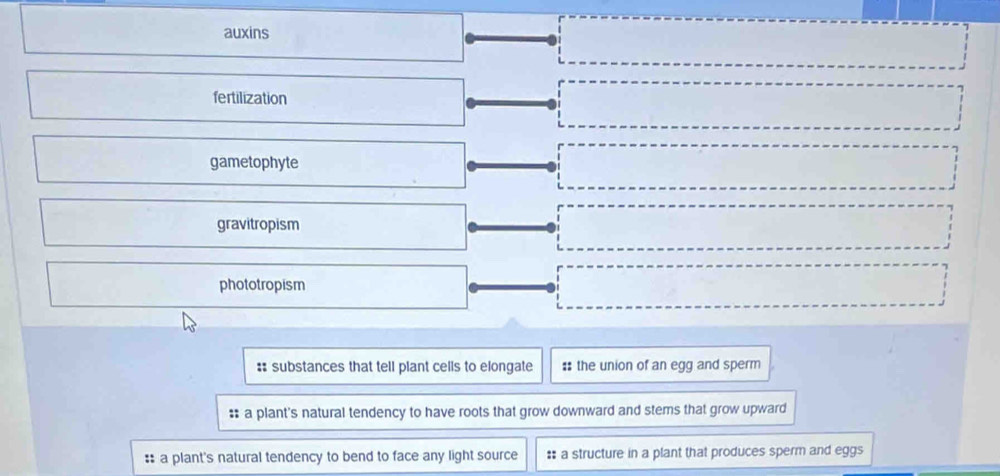 auxins
fertilization
gametophyte
gravitropism
phototropism
: substances that tell plant cells to elongate # the union of an egg and sperm
# a plant's natural tendency to have roots that grow downward and stems that grow upward
: a plant's natural tendency to bend to face any light source : a structure in a plant that produces sperm and eggs
