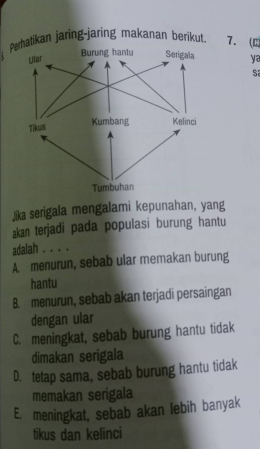 Pikan jaring-jaring makanan berikut. 7.0
ya
Sa
Jika serigala mengalami kepunahan, yang
akan terjadi pada populasi burung hantu
adalah . . . .
A. menurun, sebab ular memakan burung
hantu
B. menurun, sebab akan terjadi persaingan
dengan ular
C. meningkat, sebab burung hantu tidak
dimakan serigala
D. tetap sama, sebab burung hantu tidak
memakan serigala
E. meningkat, sebab akan lebih banyak
tikus dan kelinci