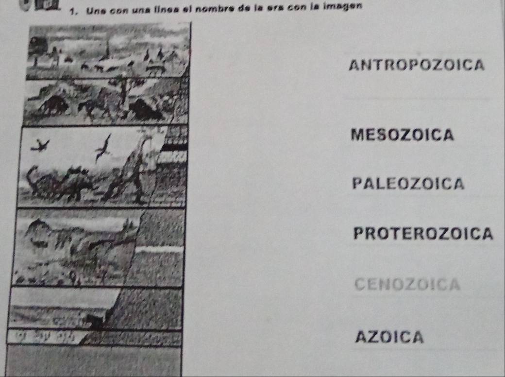 Une con una linea el nombre de la era con la imagen
ANTROPOZOICA
MESOZOICA
PALEOZOICA
PROTEROZOICA
CENOZOICA
AZOICA