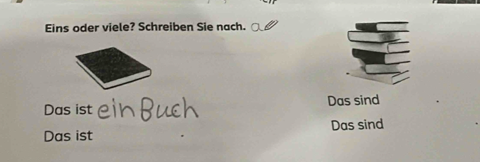 Eins oder viele? Schreiben Sie nach. 
Das ist Das sind 
Das sind 
Das ist