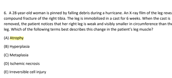 A 28-year-old woman is pinned by falling debris during a hurricane. An X -ray film of the leg revea
compound fracture of the right tibia. The leg is immobilized in a cast for 6 weeks. When the cast is
removed, the patient notices that her right leg is weak and visibly smaller in circumference than the
leg. Which of the following terms best describes this change in the patient’s leg muscle?
(A) Atrophy
(B) Hyperplasia
(C) Metaplasia
(D) Ischemic necrosis
(E) Irreversible cell injury