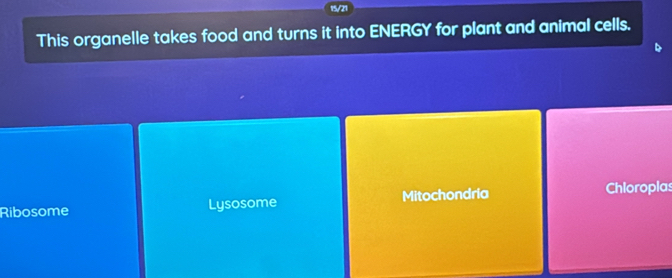 15/21
This organelle takes food and turns it into ENERGY for plant and animal cells.
Ribosome Lysosome Mitochondria
Chioropias