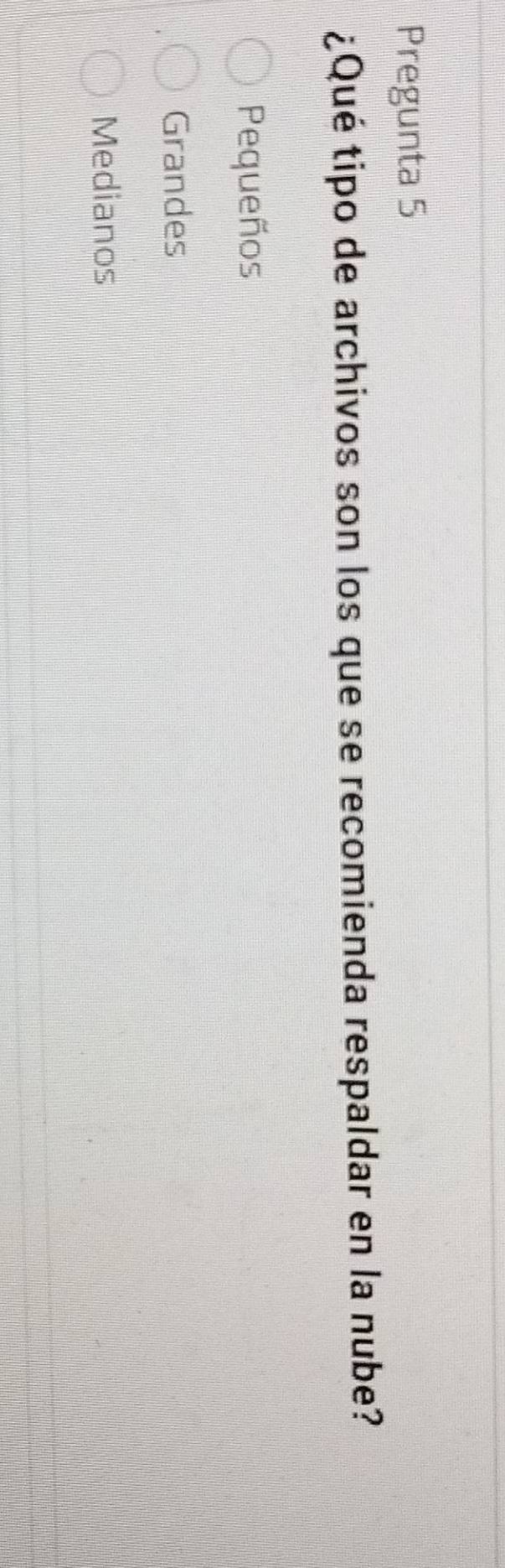 Pregunta 5
¿Qué tipo de archivos son los que se recomienda respaldar en la nube?
Pequeños
Grandes
Medianos
