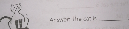 Answer: The cat is_