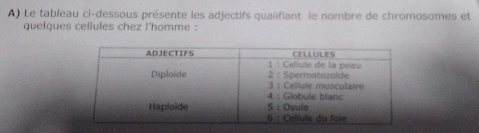 Le tableau ci-dessous présente les adjectifs qualifiant le nombre de chromosomes et 
quelques cellules chez l’homme :