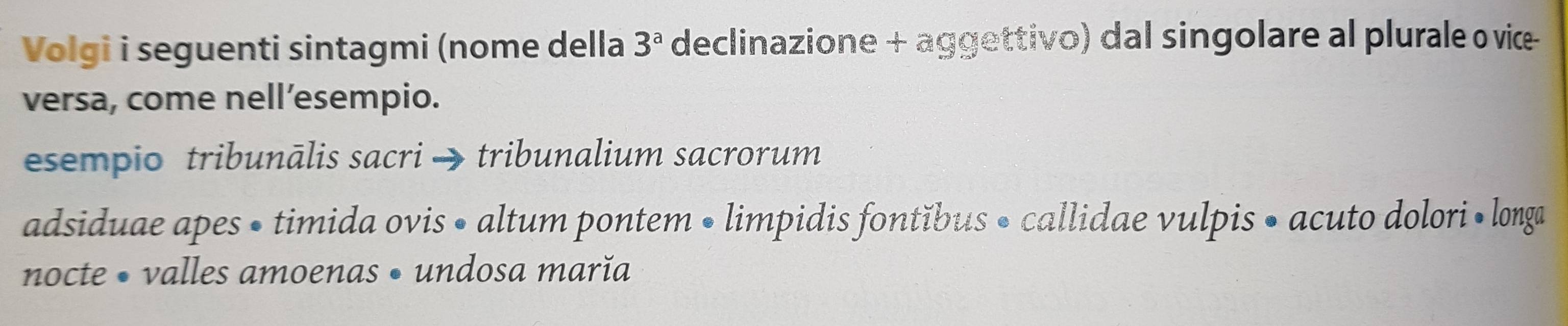 Volgi i seguenti sintagmi (nome della 3^a declinazione + aggettivo) dal singolare al plurale ovice 
versa, come nell’esempio. 
esempio tribunālis sacri → tribunalium sacrorum 
adsiduae apes • timida ovis • altum pontem • limpidis fontĭbus • callidae vulpis • acuto dolori • longa 
nocte • valles amoenas • undosa marǐa