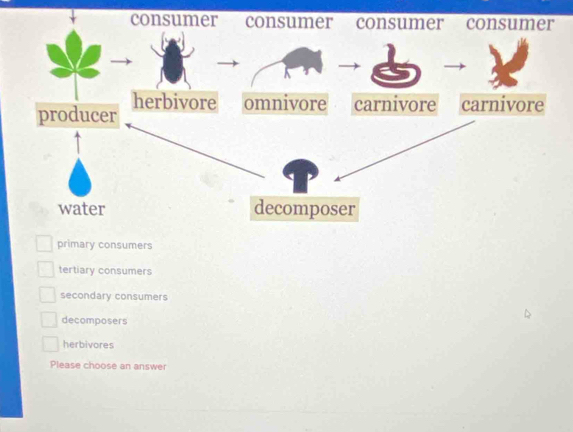 primary consumers
tertiary consumers
secondary consumers
decomposers
herbivores
Please choose an answer