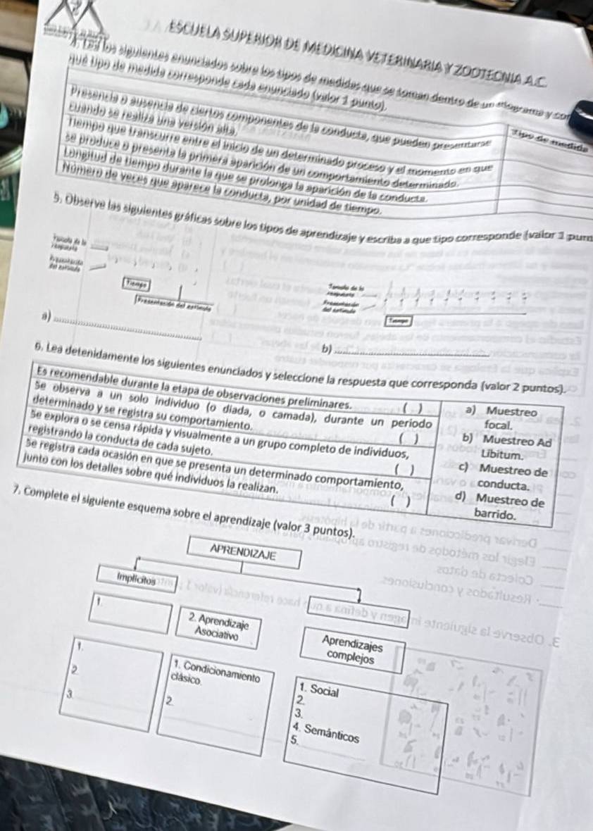 EsCuELA SUPEÑION dE MEDICINA VETERIN 
A teí los siguientes enunda 
qu é U 
a 
s de aprendizaje y escriba a que tipo corresponde (sailor 1 pur 
assote de lé 

Tenso 
=eraçõo de la 
p 
Presentación del estinu 
Fressnlacón 
a) 
d rotimde 
_ 
b) 
0. Lea deten 
). 
APRENDIZAJE 
Implicitos 7 
2. Aprendizaje Asociativo Aprendizajes complejos 
2 
1. Condicionamiento 1. Social 
clásico 
a 
2 
3. 
2 4. Semánticos 
5.