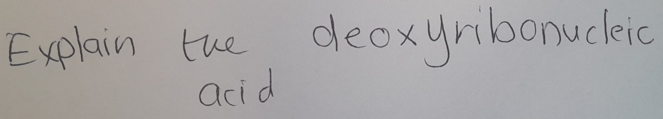 Explain the deoxyribonucleic 
acid