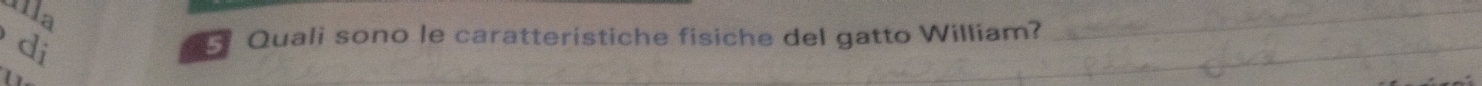 di 
Quali sono le caratteristiche fisiche del gatto William?