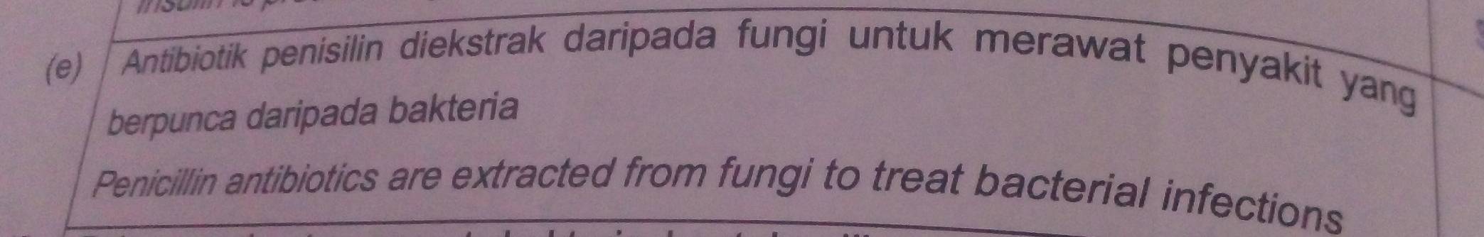 Antibiotik penisilin diekstrak daripada fungi untuk merawat penyakit yang 
berpunca daripada bakteria 
Penicillin antibiotics are extracted from fungi to treat bacterial infections