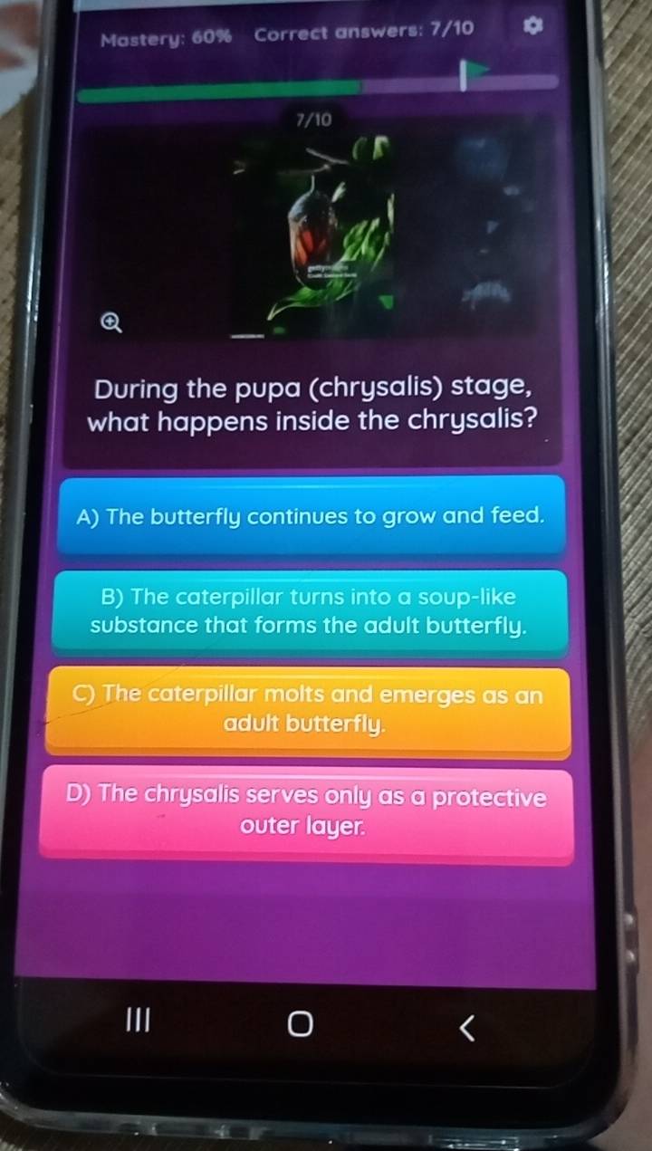 Mastery: 60% Correct answers: 7/10
7/10
During the pupa (chrysalis) stage,
what happens inside the chrysalis?
A) The butterfly continues to grow and feed.
B) The caterpillar turns into a soup-like
substance that forms the adult butterfly.
C) The caterpillar molts and emerges as an
adult butterfly.
D) The chrysalis serves only as a protective
outer layer.
III