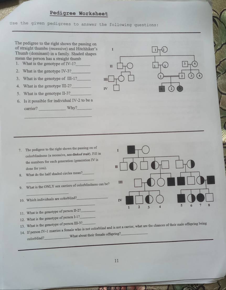 Pedigree Worksheet 
Use the given pedigrees to answer the following questions: 
The pedigree to the right shows the passing on 
of straight thumbs (recessive) and Hitchhiker’ 
Thumb (dominant) in a family. Shaded shapes 
mean the person has a straight thumb 
1. What is the genotype of IV-1?_ 
2. What is the genotype IV -3?_ 
3. What is the genotype of III -1?_ 
4. What is the genotype III -2?_ 
5. What is the genotype II- 3?_ 
6. Is it possible for individual IV-2 to be a 
carrier? _Why?_ 
_ 
7. The pedigree to the right shows the passing on of 
colorblindness (a recessive, sex-linked trait). Fill in 
the numbers for each generation (generation IV is 
done for you). 
8. What do the half shaded circles mean?_ 
_ 
9. What is the ONLY sex carriers of colorblindness can be 
_ 
10. Which individuals are colorblind? 
_ 
11. What is the genotype of person II-2? _ 
12. What is the genotype of person I-1? _ 
13. What is the genotype of person III-3? 
14. If person IV-1 marries a female who is not colorblind and is not a carrier, what are the chances of their male offspring being 
colorblind?_ What about their female offspring? 
_ 
11